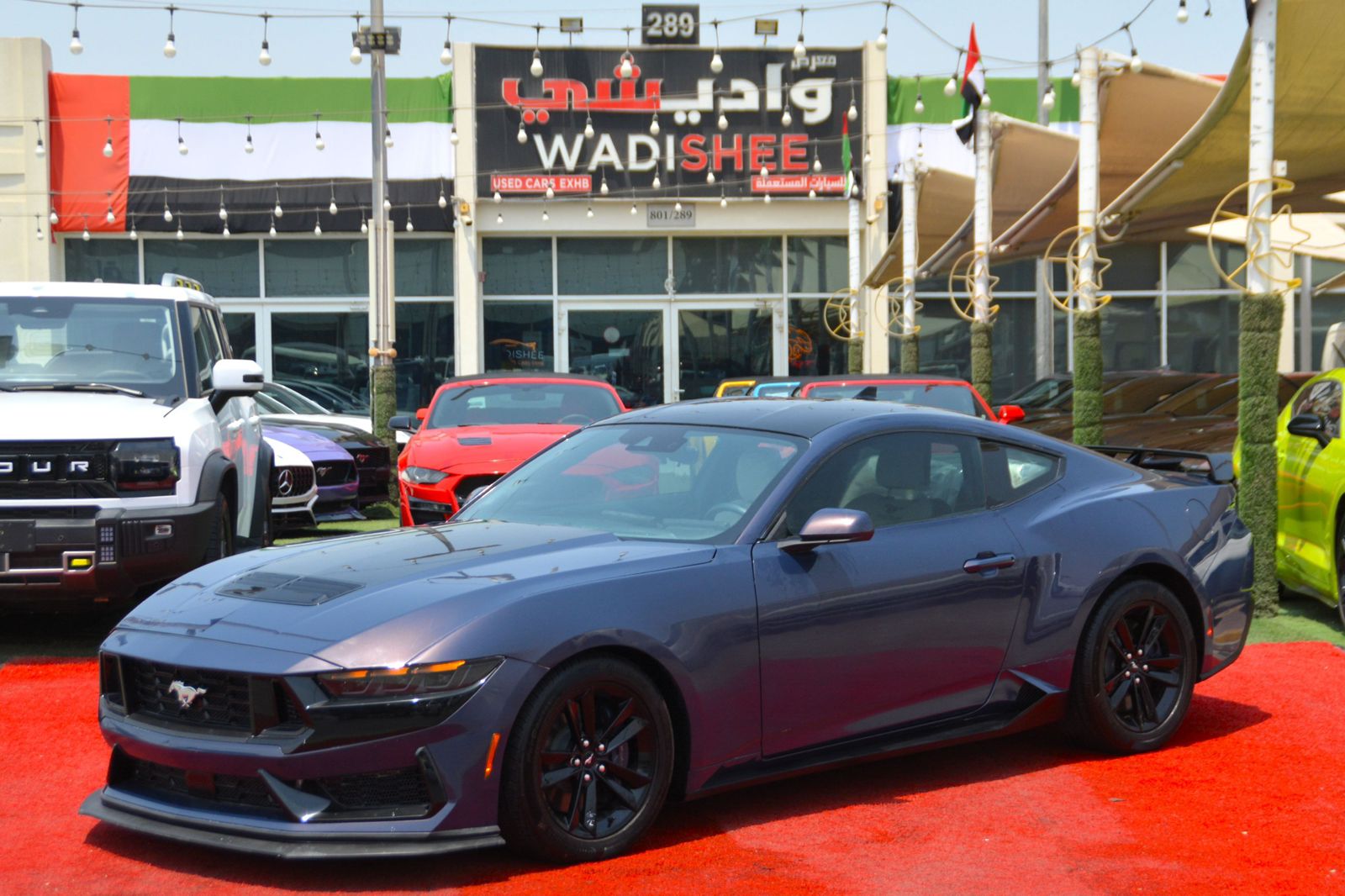 Used 2024 Ford Mustang GT - UAE Dubai