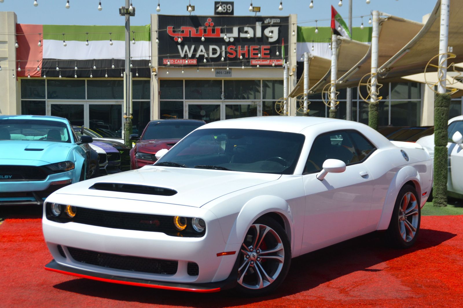 Used 2021 Dodge Challenger UAE Dubai – Iconic American Muscle