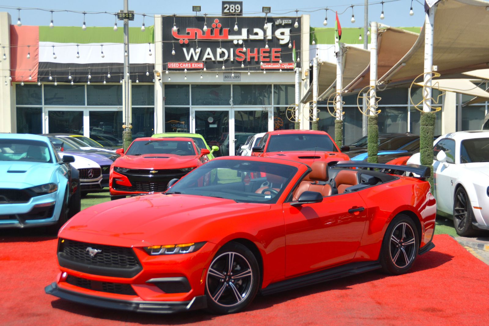 Used 2024 Ford Mustang Convertible UAE Dubai