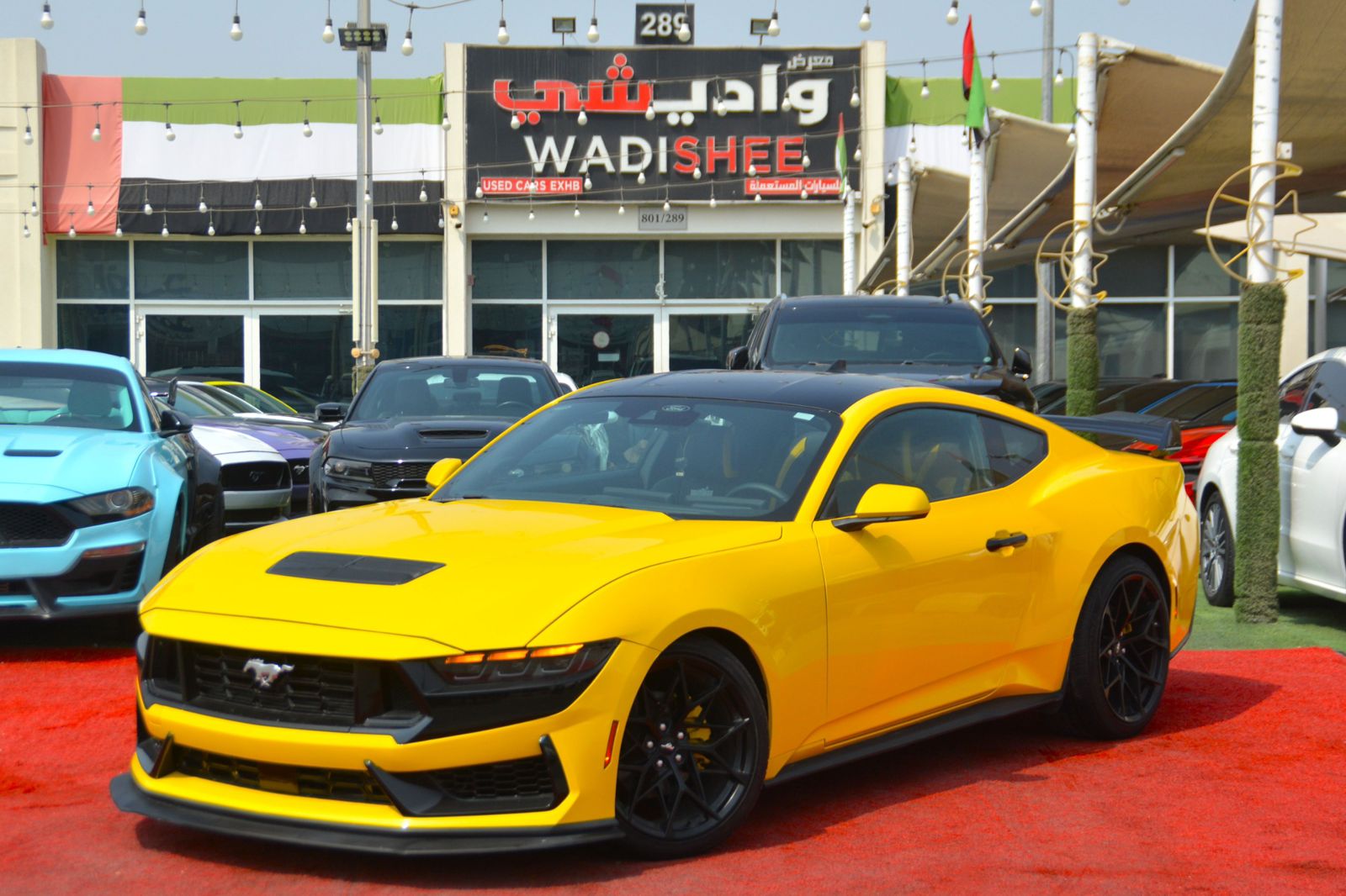 Used 2024 Ford Mustang EcoBoost UAE Dubai – Sporty Power and Iconic Style