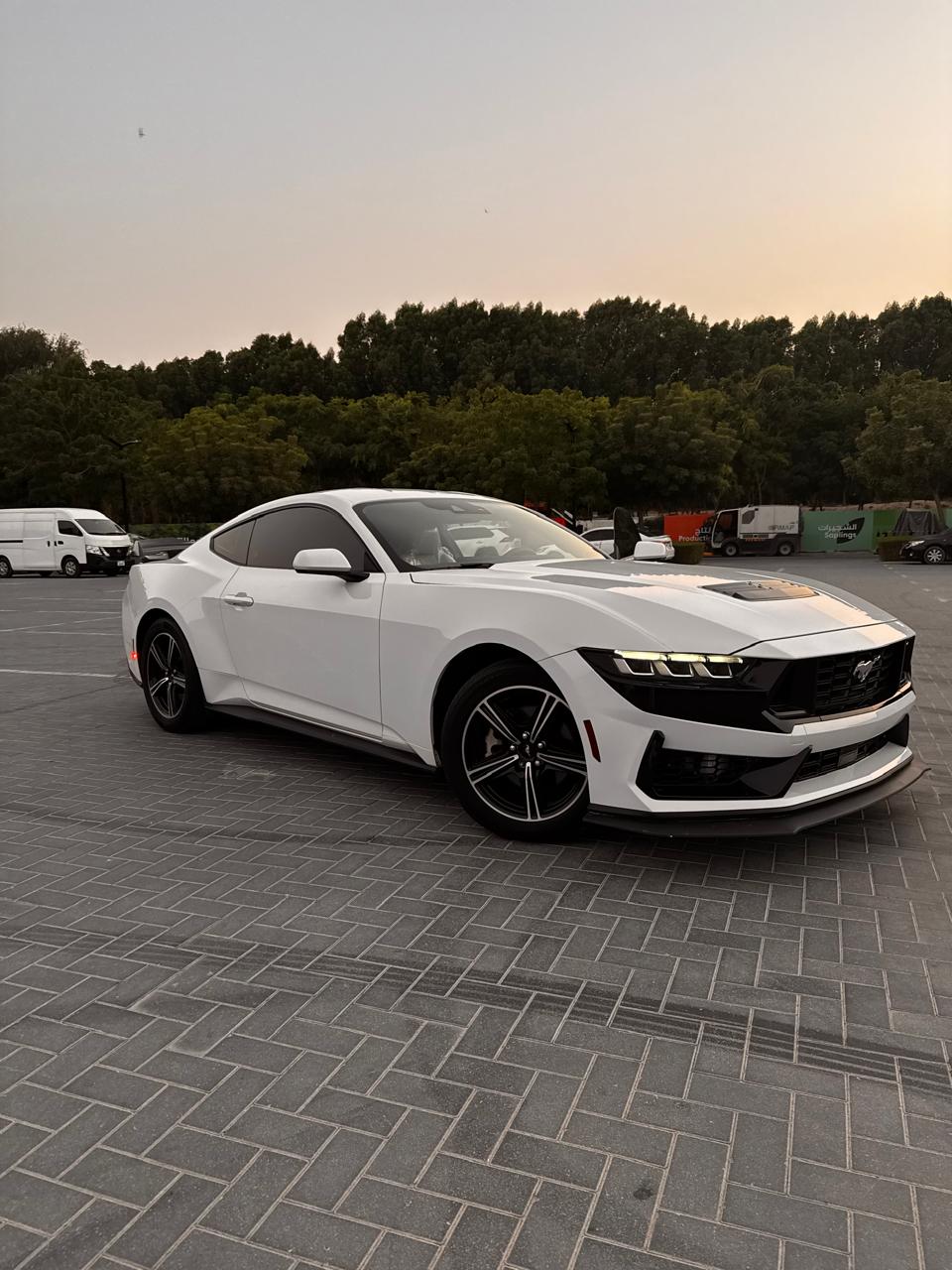 Used Ford Mustang 2024 EcoBoost UAE Dubai – White Elegance Edition