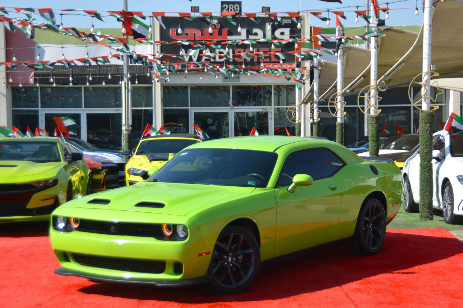 Dodge Challenger SXT Plus Used 2019